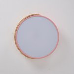 Потолочный светильник CLIP Pink D50 ImperiumLoft 193051-26