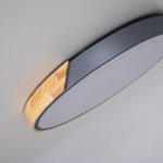 Потолочный светильник CLIP Grey D50 ImperiumLoft 193053-26