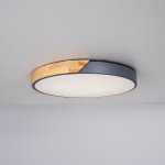 Потолочный светильник CLIP Grey D50 ImperiumLoft 193053-26
