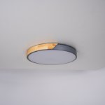 Потолочный светильник CLIP Grey D50 ImperiumLoft 193053-26