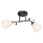 Потолочный светильник Экономсвет 1936YX/2BK+SV WT