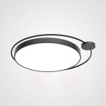 Потолочный светильник DESTIN D50 Black ImperiumLoft 193727-26