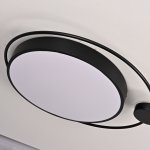 Потолочный светильник DESTIN D60 Black ImperiumLoft 193729-26