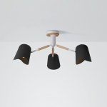 Люстра на штанге NOTCH D70 Black ImperiumLoft 194982-26