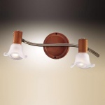 Светильник поворотный спот Odeon light 1967/2W TRUM