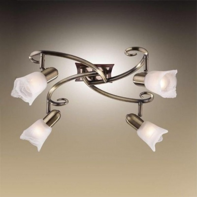 Светильник подсветка Odeon light 1968/4C ILSA