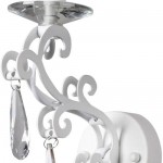 Настенный светильник Favourite 1969-1W Terrific