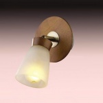 Светильник поворотный спот Odeon light 1971/1w TARA