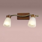 Подсветка Odeon light 1971/2w TARA