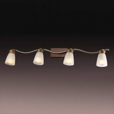 Подсветка Odeon light 1971/4w TARA