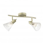 Потолочный светильник Favourite 1794-2U Gumbata