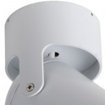 Потолочный светильник спот Favourite 1980-1U Projector