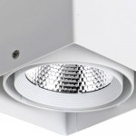 Потолочный светильник Favourite 1986-1U Flashled