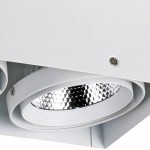 Потолочный светильник Favourite 1986-2U Flashled