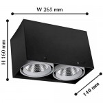 Потолочный светильник Favourite 1987-2U Flashled