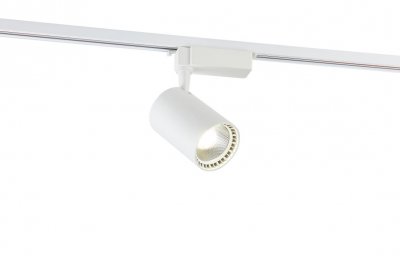 LED однофазный трековый светильник Simple Story 2010-LED20TRW