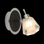 Светильник Eurosvet 20116/1 хром