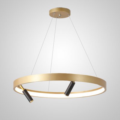 Подвесная люстра RAPID CH D60 Brass Black ImperiumLoft 201277-23