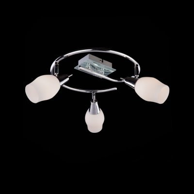 Светильник Eurosvet 20132/3 хром