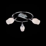 Светильник Eurosvet 20132/3 хром