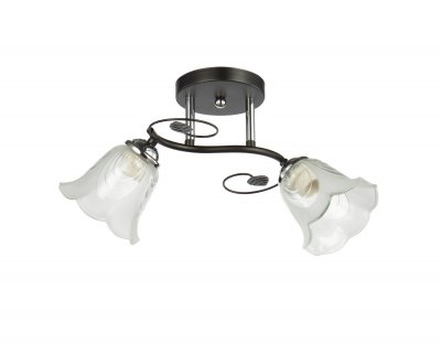 Потолочный светильник 20136/2BK+CR WCL ЭкономСвет