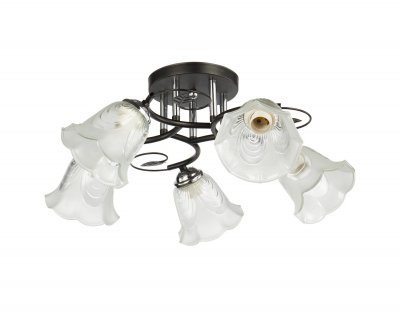 Потолочный светильник 20136/5BK+CR WCL ЭкономСвет