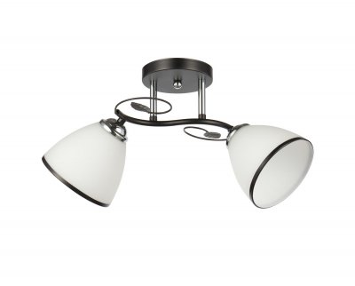 Потолочный светильник 20137/2BK+CR WT+BK ЭкономСвет Потолочный светильник 20137/2BK+CR WT+BK ЭкономСвет