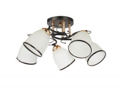 Потолочный светильник 20138/5BK+FGD WT+BK ЭкономСвет Потолочный светильник 20138/5BK+FGD WT+BK ЭкономСвет