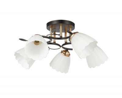 Потолочный светильник 20139/5BK+FGD WT ЭкономСвет