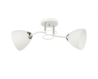 Потолочный светильник 20142/2WT+CR WT ЭкономСвет