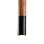 Люстра Favourite 2015-1P Pendenti