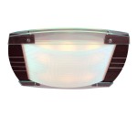 Люстра Mw light 2020106 Чаша