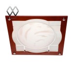 Светильник настенно-потолочный Mw light 2020704 Чаша