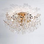 Потолочная люстра MODELUX ML.20220.6