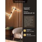 Декоративная подсветка Divinare TRIESTE 2028/06 AP-10