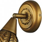 Настенный светильник спот Favourite 2029-1W Nelumbo