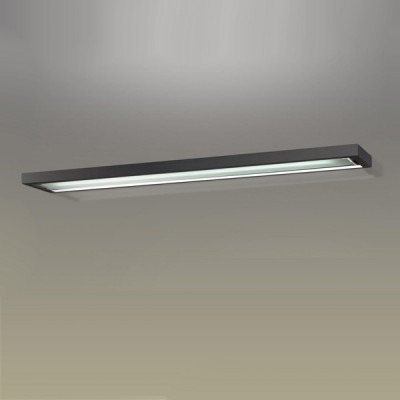 Светильник настенно-потолочный Odeon light 2032/1w SELVE Светильник настенно-потолочный Odeon light 2032/1w SELVE