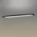 Светильник настенно-потолочный Odeon light 2032/1w SELVE