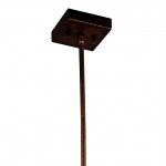 Система 2в1 (потолочный / подвесной светильник) Favourite 2037-1U Foco