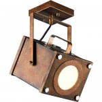 Система 2в1 (потолочный / подвесной светильник) Favourite 2037-1U Foco