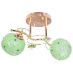 Потолочный светильник Экономсвет 203HE/2FGD GN