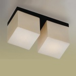 Светильник настенно-потолочный Odeon light 2043/2C CUBET