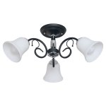 Светильник ЭкономСвет 205/3CR+BK WT