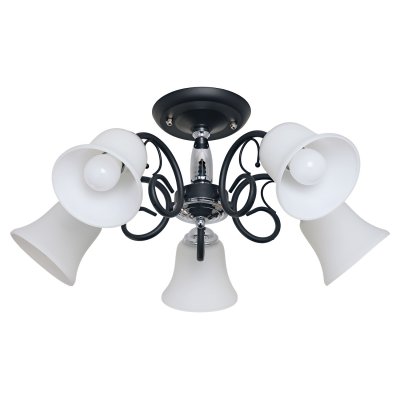 Потолочный светильник Экономсвет 205/5CR+BK WT