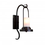 Настенный светильник Favourite 2059-1W Capanna