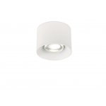 LED потолочный светильник Simple Story 2059-LED12CLW
