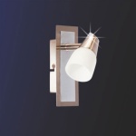 Светильник спот Colosseo 20603/1 Tyrine