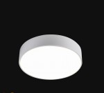 Потолочный светильник Favourite 2065-24C Flashled