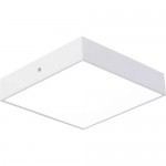 Потолочный светильник Favourite 2066-24C Flashled