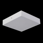 Потолочный светильник Favourite 2066-24C Flashled